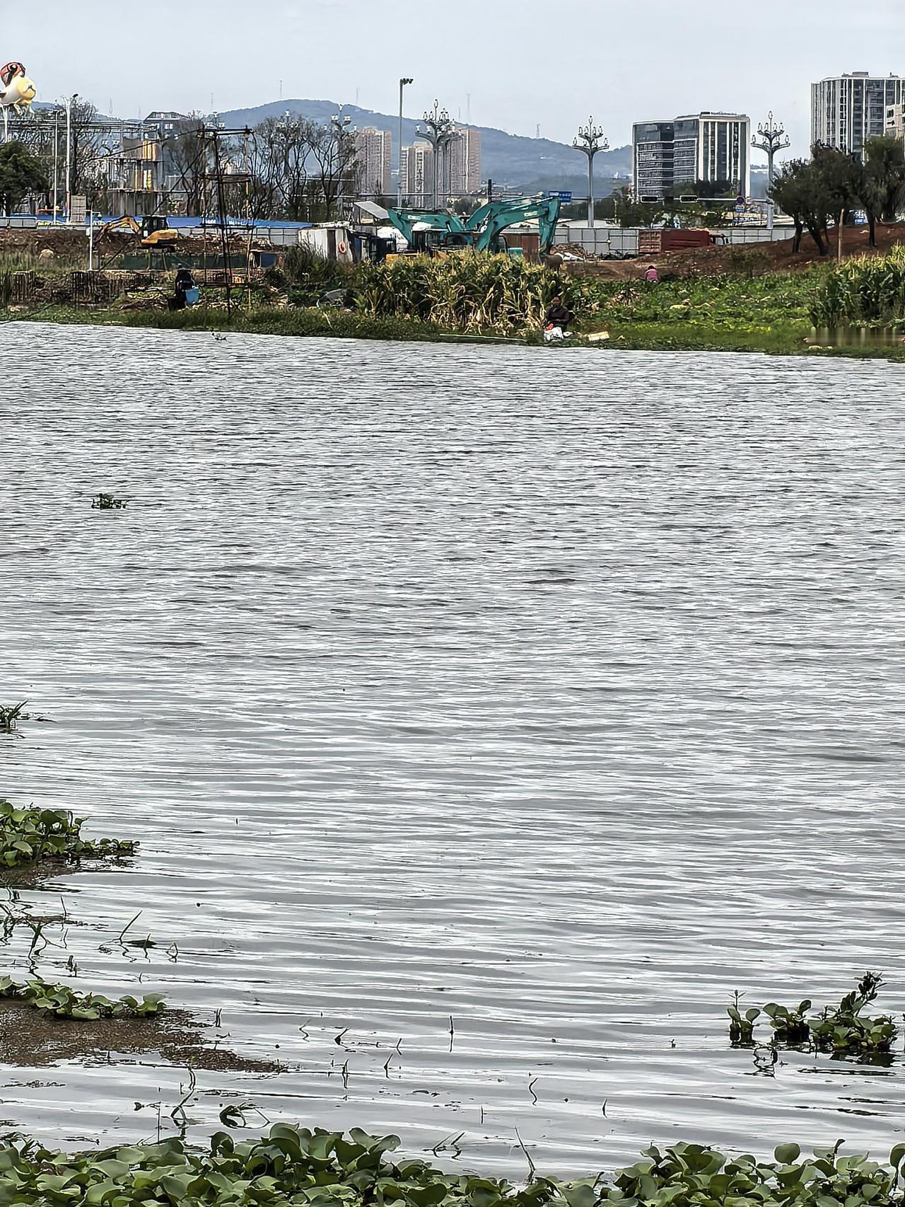 巫家坝广福路连海河湿地公园到五甲塘湿地公园这一片公湿地公园在复工了！这一片还有两