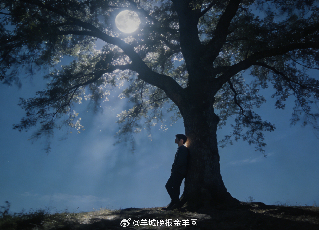 #晚安# 晚风轻摇树影，月光筛下细碎清辉，靠在树下听风轻语，把今日的烦忧都吹散，