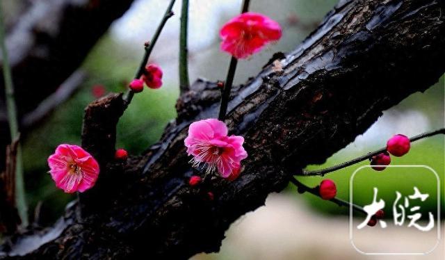 2月4日“立春”气温回升，但棉衣暂时不能收