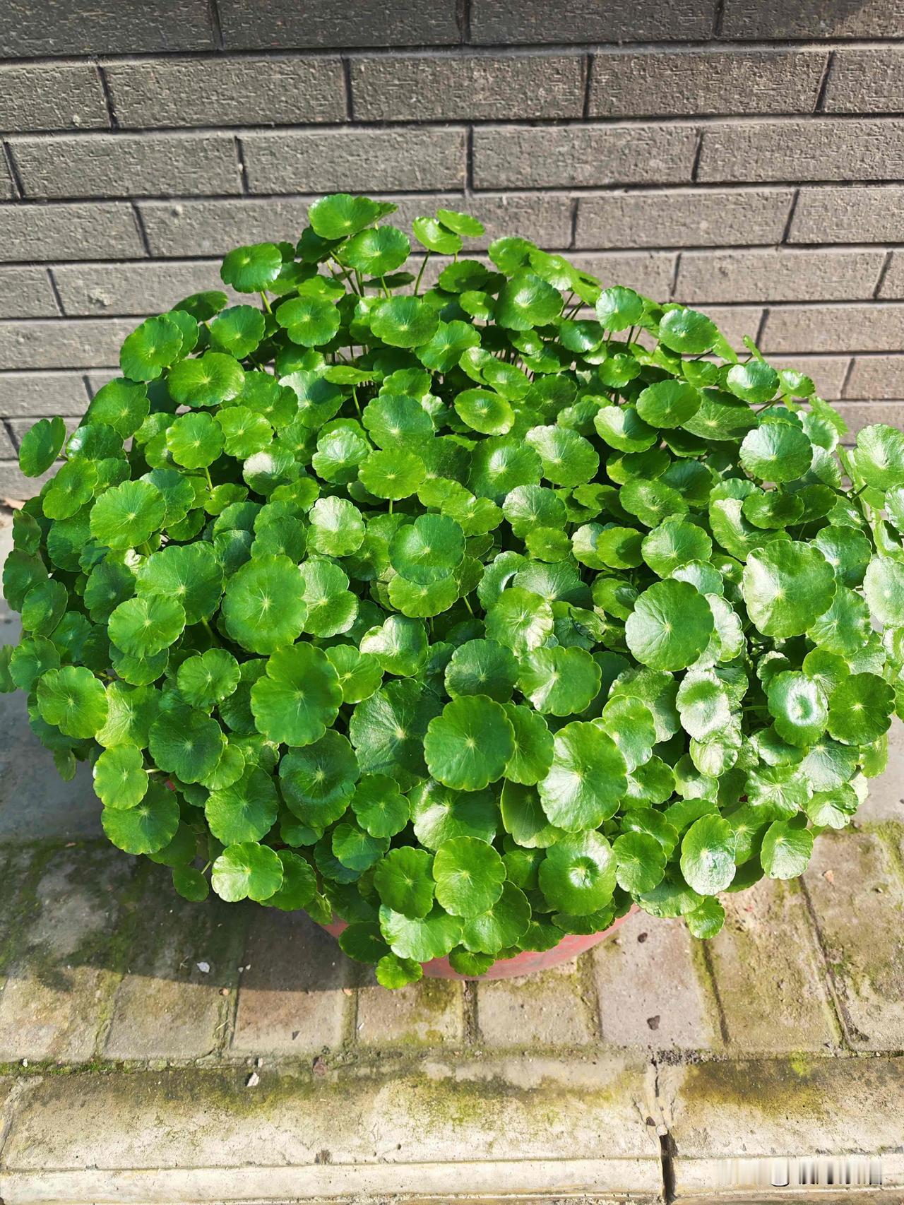 真正能把孩子教好的父母，都悄悄做对了这6件事

很多家长，拼尽全力鸡娃，最后亲子