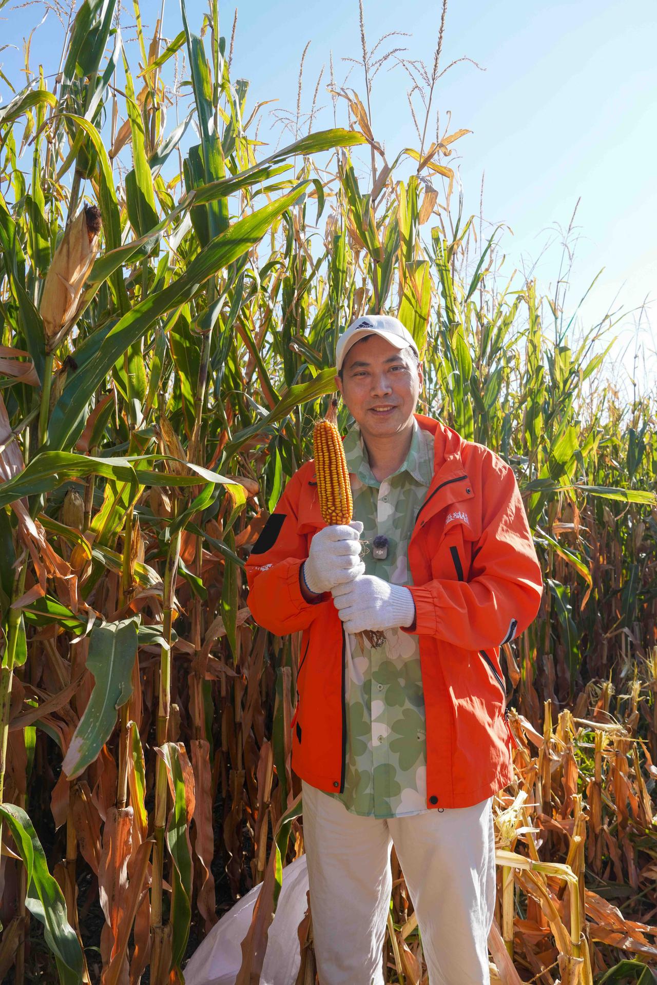 🌽北疆秋收正当时｜去塔城，感受一场从田野到非遗的文化之旅

如果说夏天的北疆是
