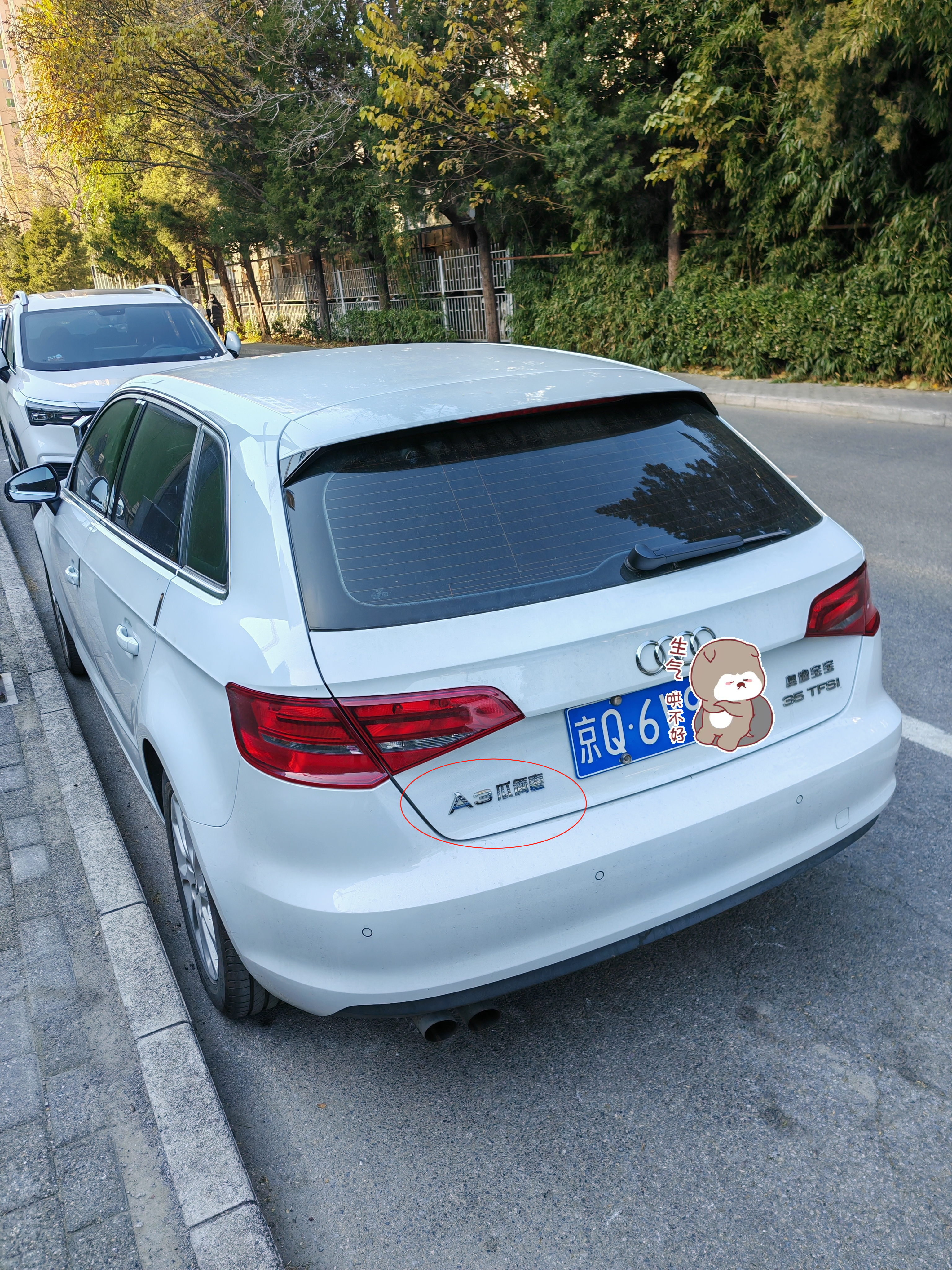 致敬脑洞大开的奥迪A3车主们