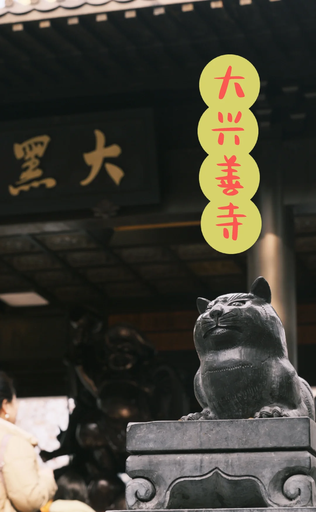 陕西游记|汉传唐密祖庭|西安大兴善寺