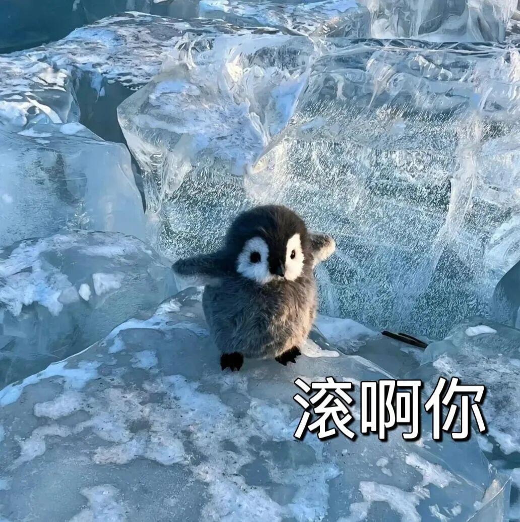 可爱的小企鹅表情包 