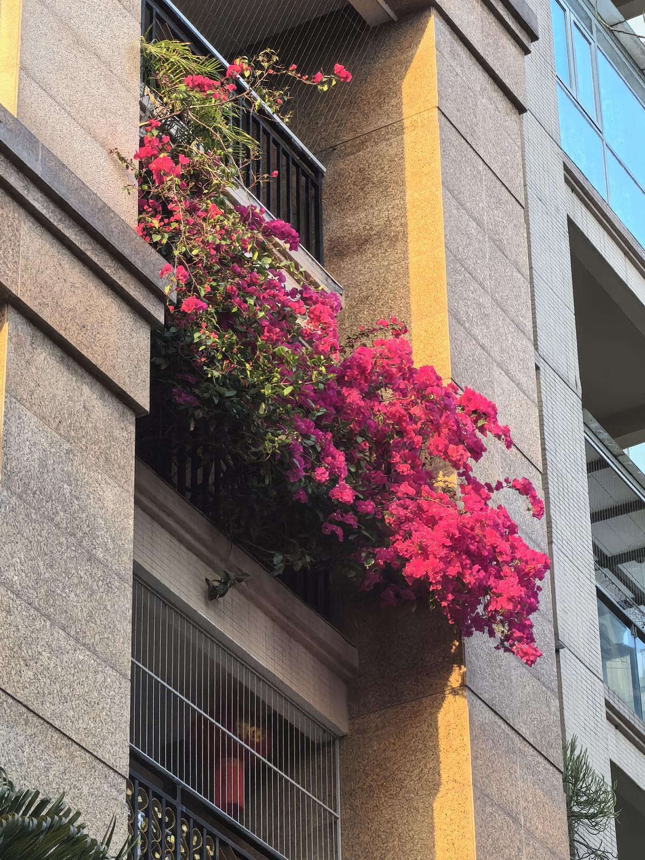 今早跟同事聊天，惊讶了我，同事儿子大学毕业，就考公上岸。才工作不到十年，就在罗湖