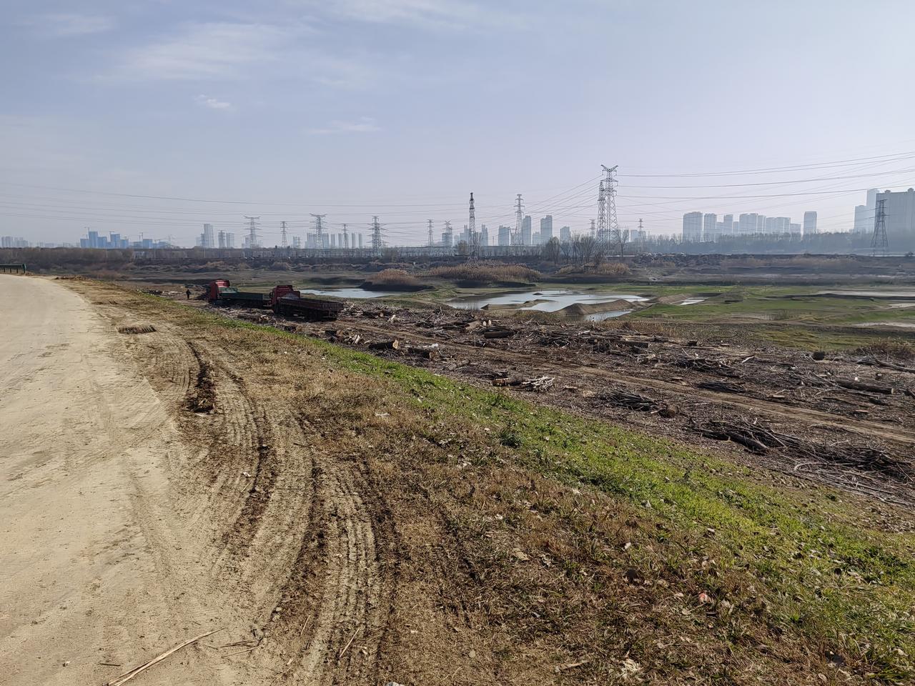 这片杨树林还是被砍光了
位于盘龙城靠府河边上的杨树林，包括刘店那边的，都已经被砍