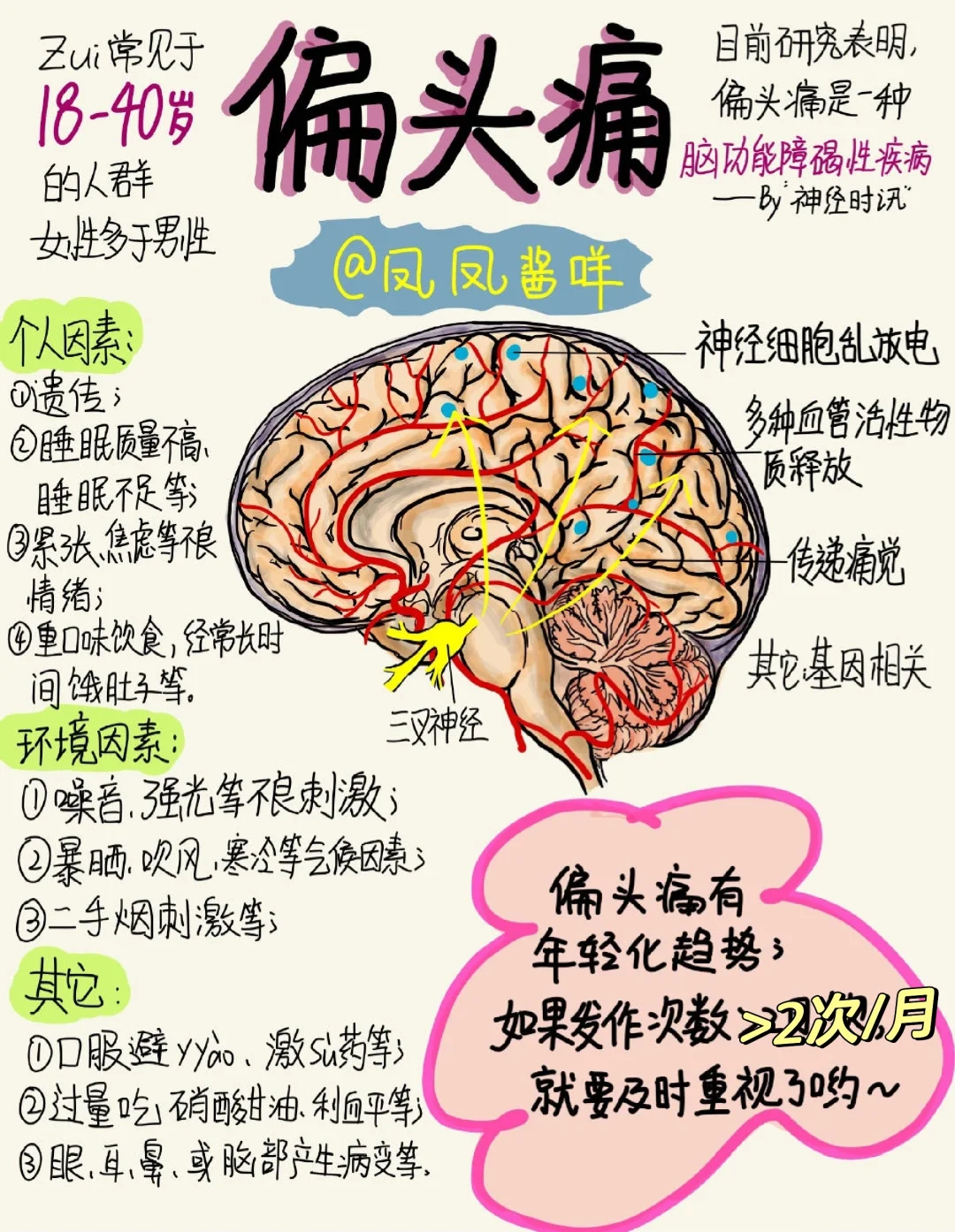 🔔医学生笔记 | 偏头痛 建议点赞收藏