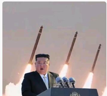 高市早苗主动求见金正恩

2025年11月14日，日本首相高市早苗在一次重要的公