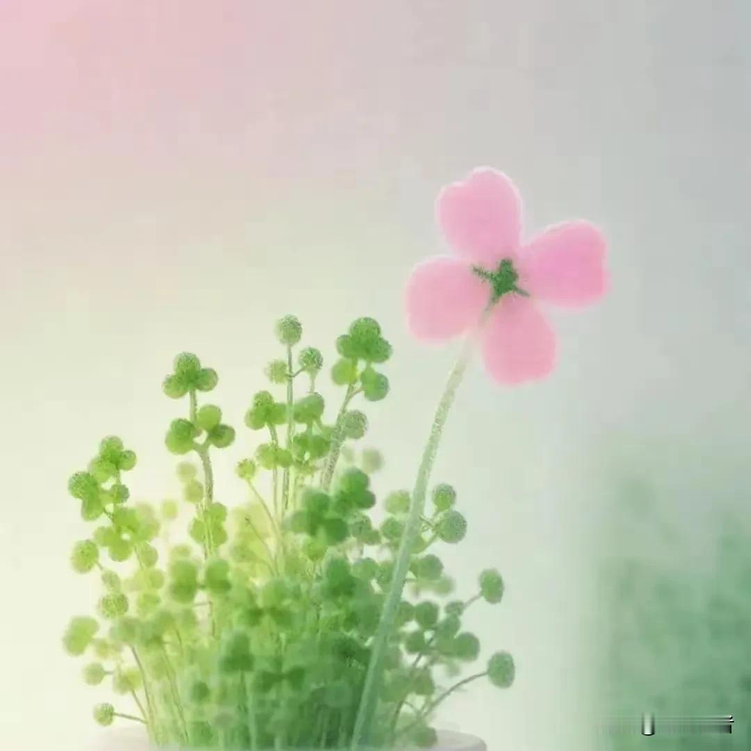 #上联：山山水水和谐美，诚邀下联？#
下联：花花草草自然香。横批：天地人和。
