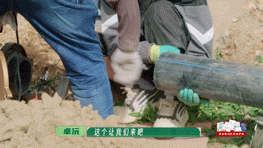 种地吧枣业基建开工卓沅焊管子时偶遇新疆师傅，二人语言不通靠志愿者翻译沟通。焊接紧