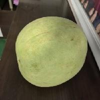 笼罩我家五天的怪味谜案终于水落石出了。

这几天，每天一进家门在玄关处就闻到了一