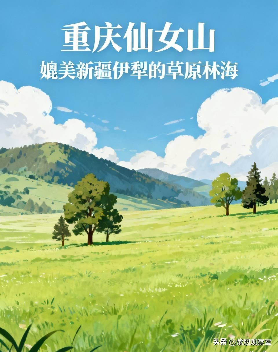媲美新疆伊犁！重庆仙女山草原林海美到治愈，唯独缺了一样灵魂景致:高山湖泊
 
很