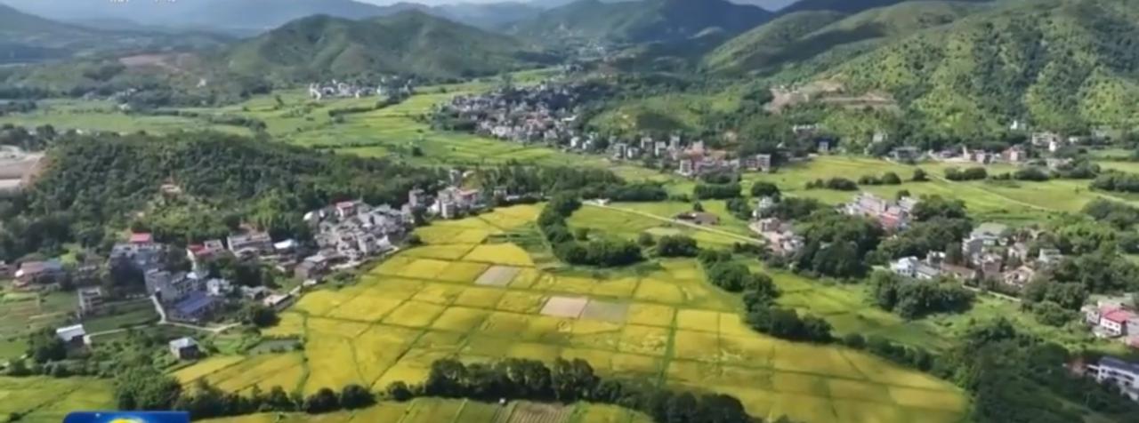 温室大棚里，嫩绿秧苗长势喜人，科技赋能让现代农业焕发新生机；广袤田野间，植保无人