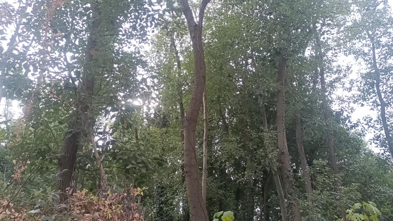 这个问题，看似简单，却折射出我们对时间、对关系的深刻思考。我们总说“时间不等人”