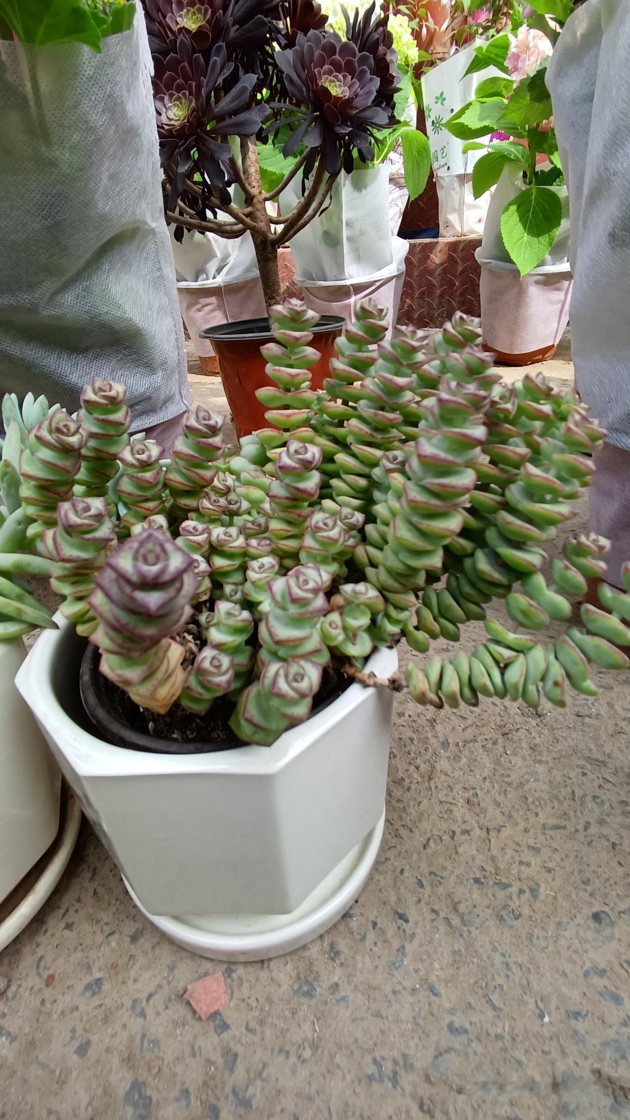 人到中年，什么才是真正的重要？
 
人到中年，常常会陷入迷茫。
有人纠结面子，有