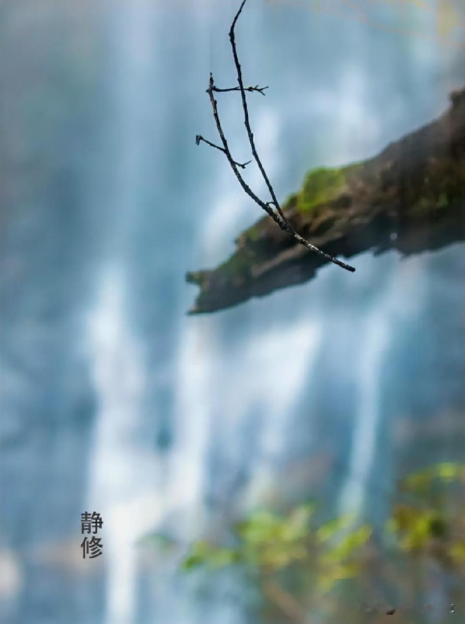 干净的灵魂，从不需要华丽的包装

皮囊再光鲜
终究抵不过时光的丈量
假意的滚烫，