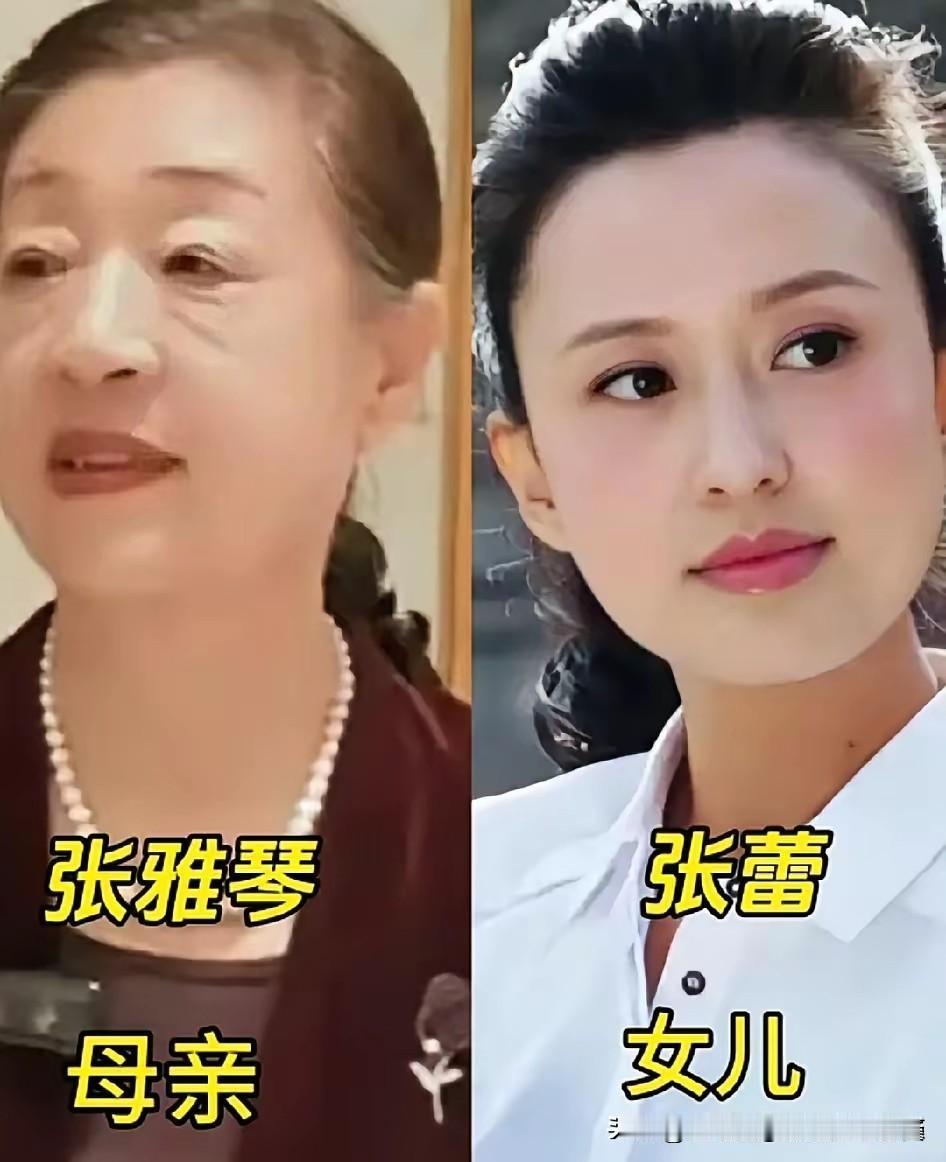 央视主播和父母同框，原来优秀源于家庭✨
​
张蕾、董卿、马凡舒、朱迅、杨澜、李思