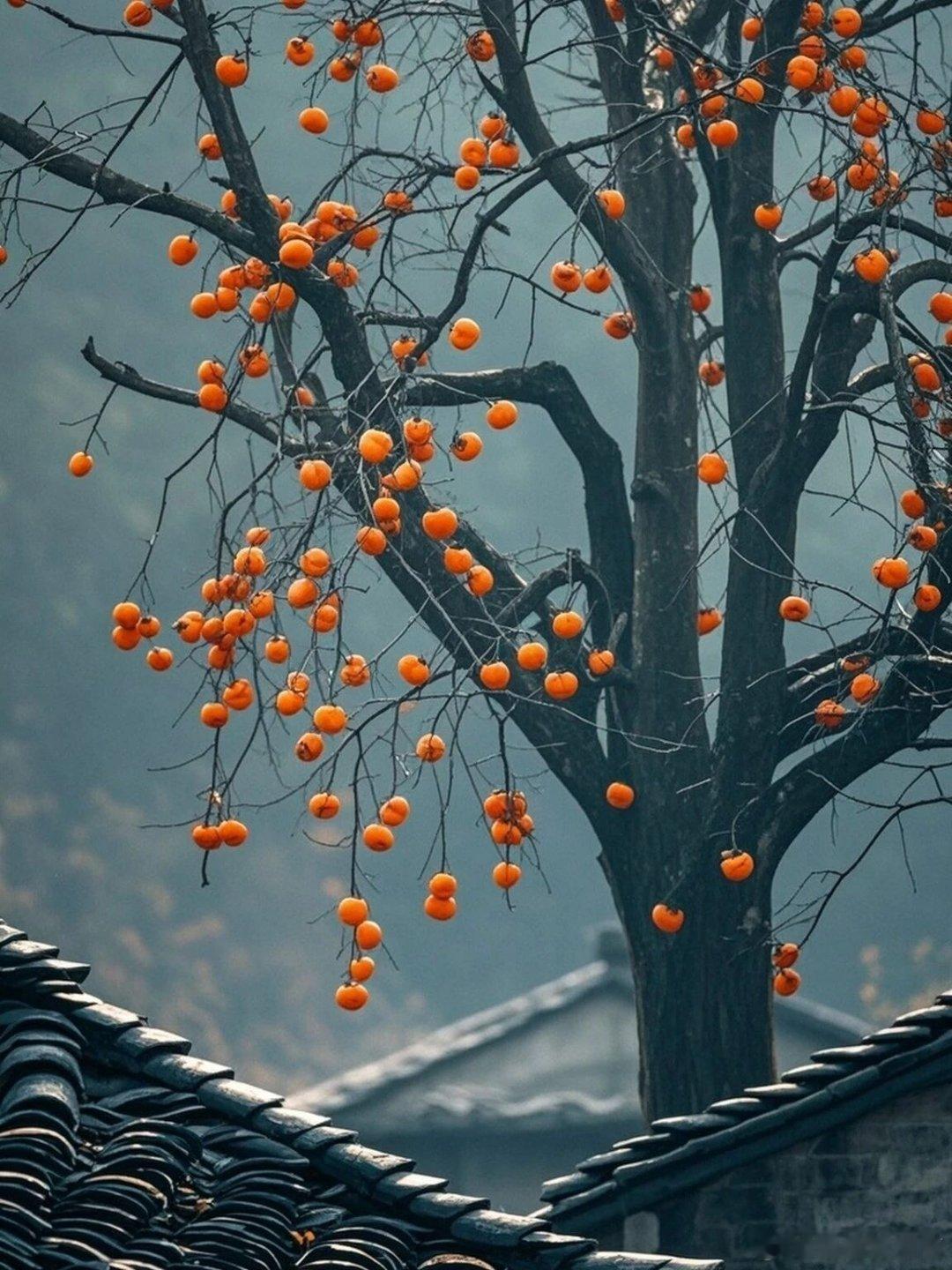 豫西明珠：叫河镇东坡村的慢调时光在伏牛山的群山绿水里，叫河镇东坡村恰似一颗被时光