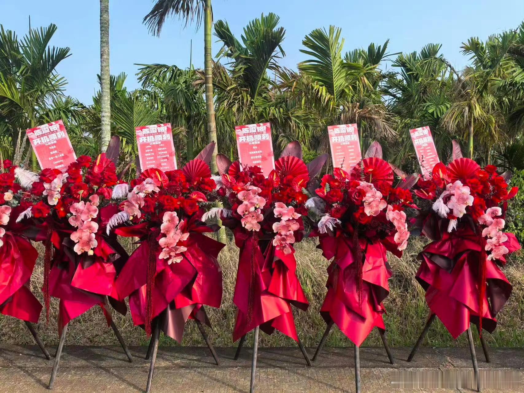 陈浚铭我们的少年时代2开机应援，期待谢逸舟吗？我们的少年时代2我们的少年时代2开