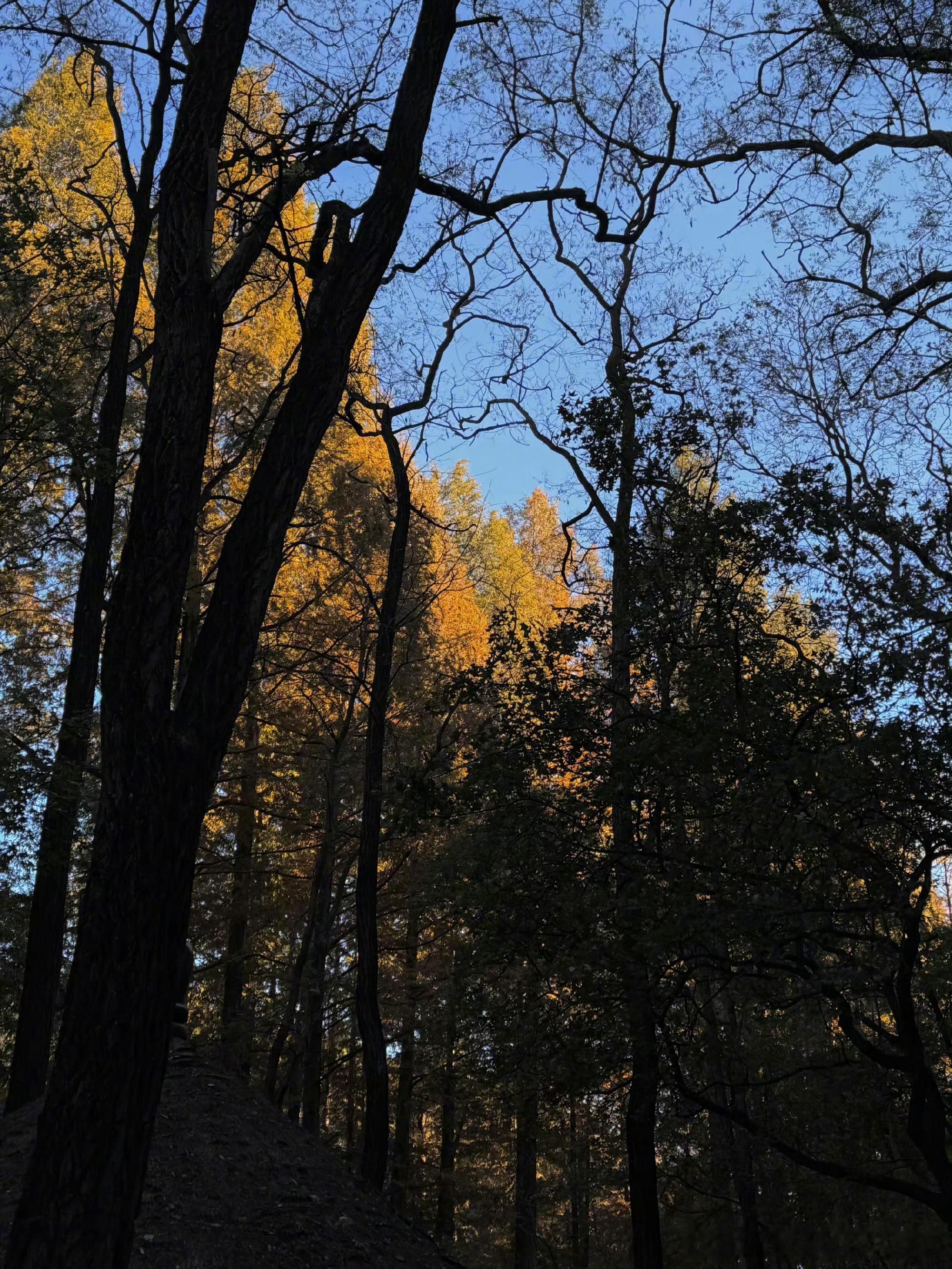 真正步入稳定盈利的交易者，都跨入了“信仰”阶段。他的系统已能截断亏损，让利润奔跑