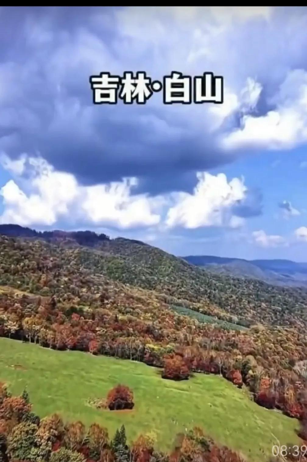 健康小常识：从中医角度看，酒是一味“药”，用对了是帮手，用错了就是伤身的利器。