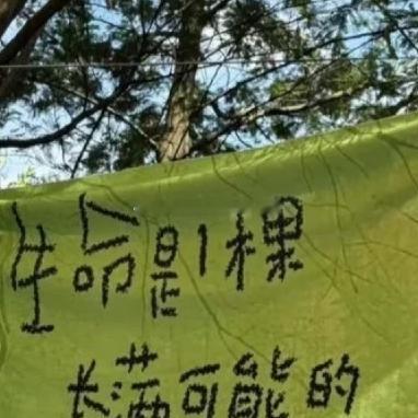 每日一善[超话]