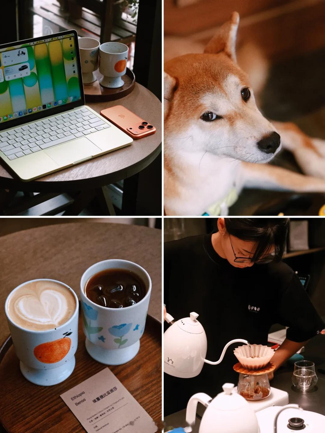 带上了苹果 装13套装升价前3k购入的macbookneo 一问就是“首发”入的