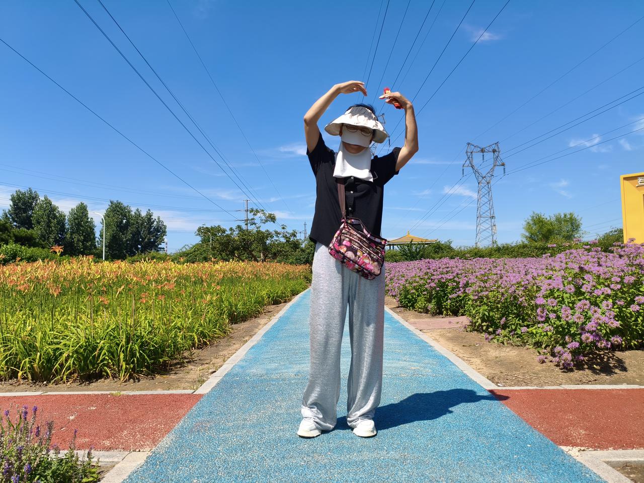 夏日生活打卡季