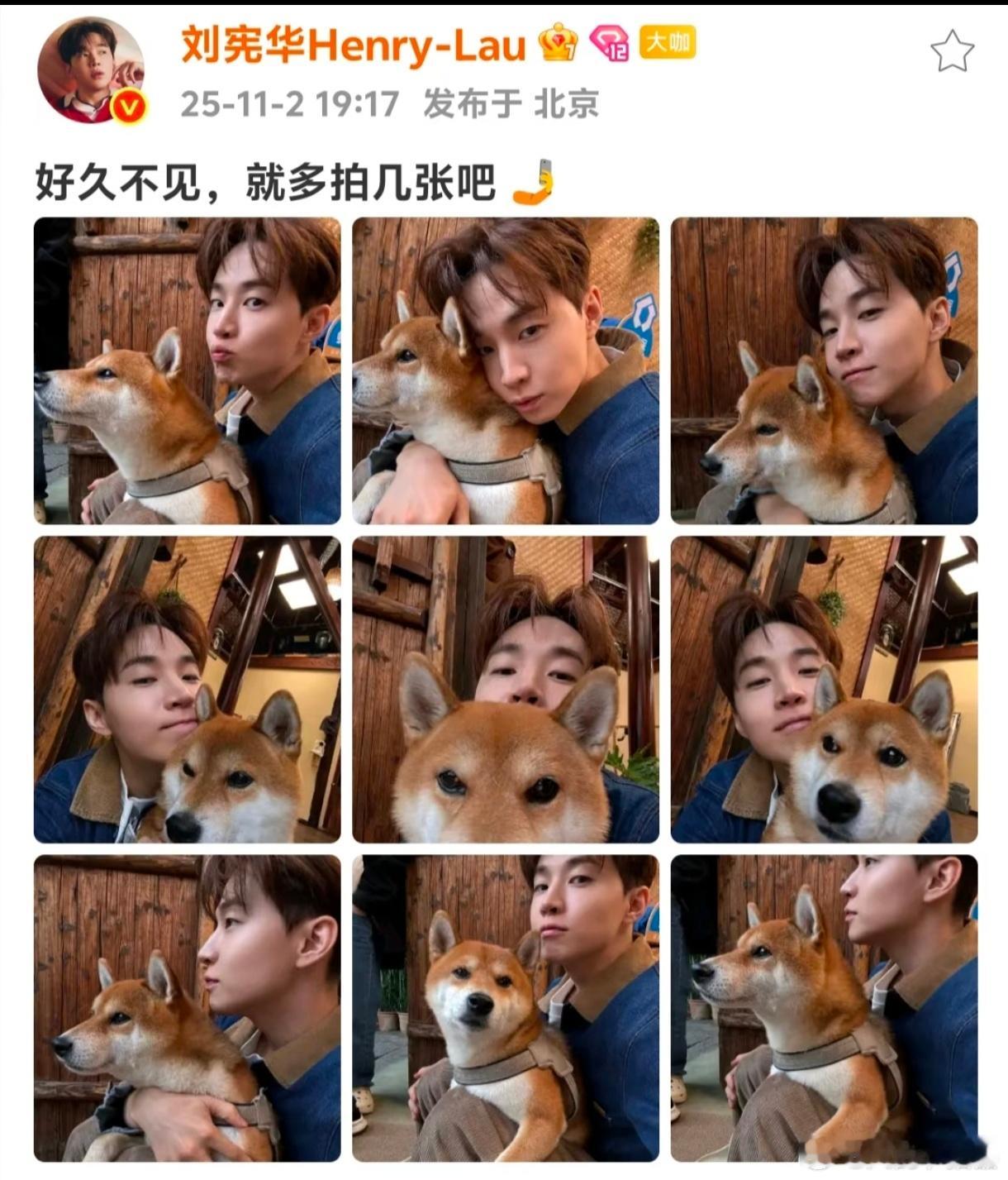 不知道嫡长狗还认识嫡长子吗[doge]大华和小h的九连拍，好不容易回来一次是要好