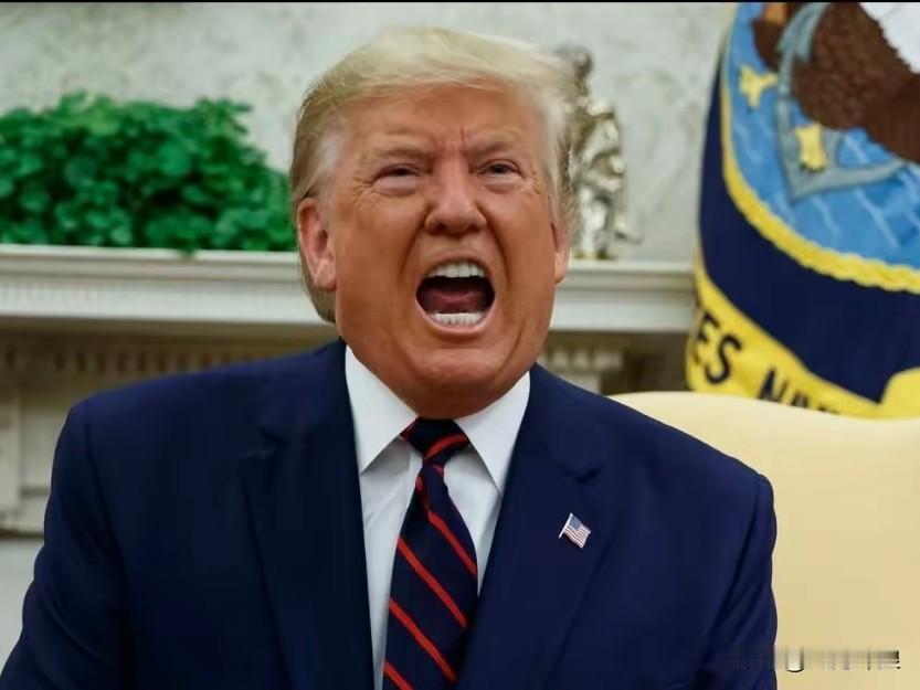 美国总统特朗普警告伊朗：伊朗这样做，后果很严重！

美国总统特朗普4月19日表示