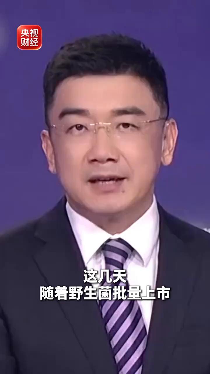 央视财经。
这几天随着野生菌批量上市，位于云南昆明的大型野生菌交易中心单日交易量