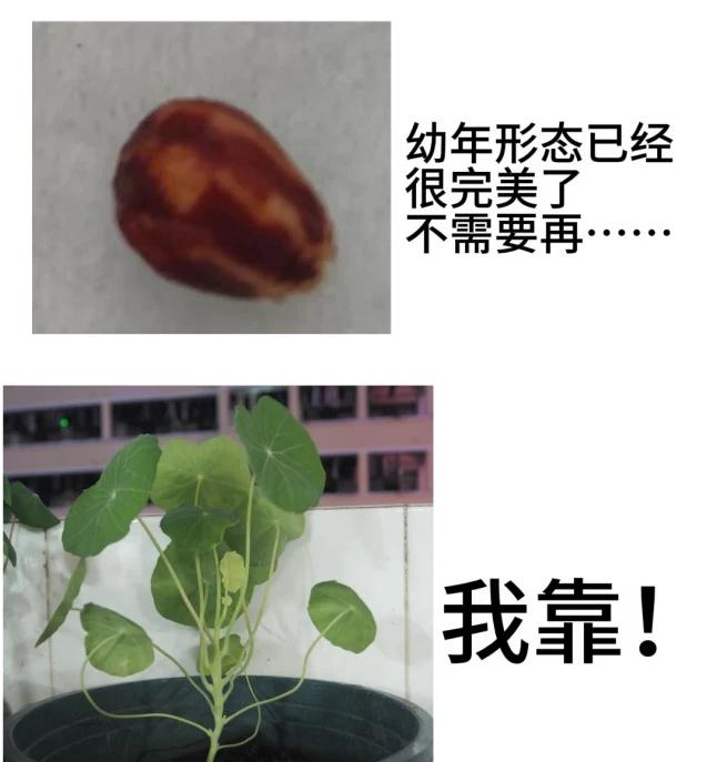 感受