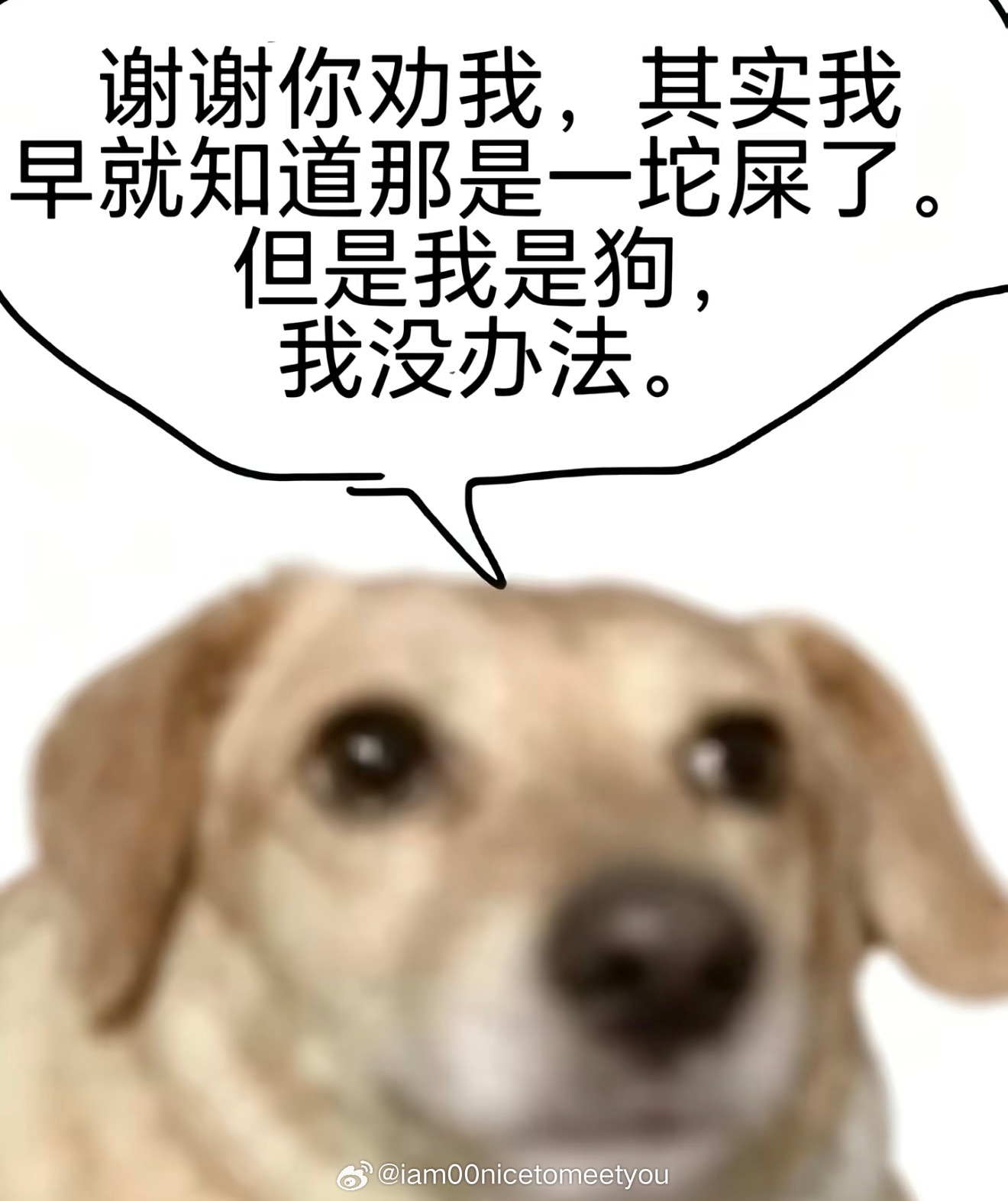 分享图片 