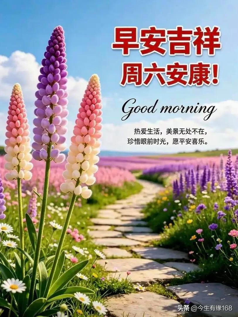 生活不必日日轰轰烈烈，平淡的日常，自有动人的美好。

就像路边不起眼的小花，不及