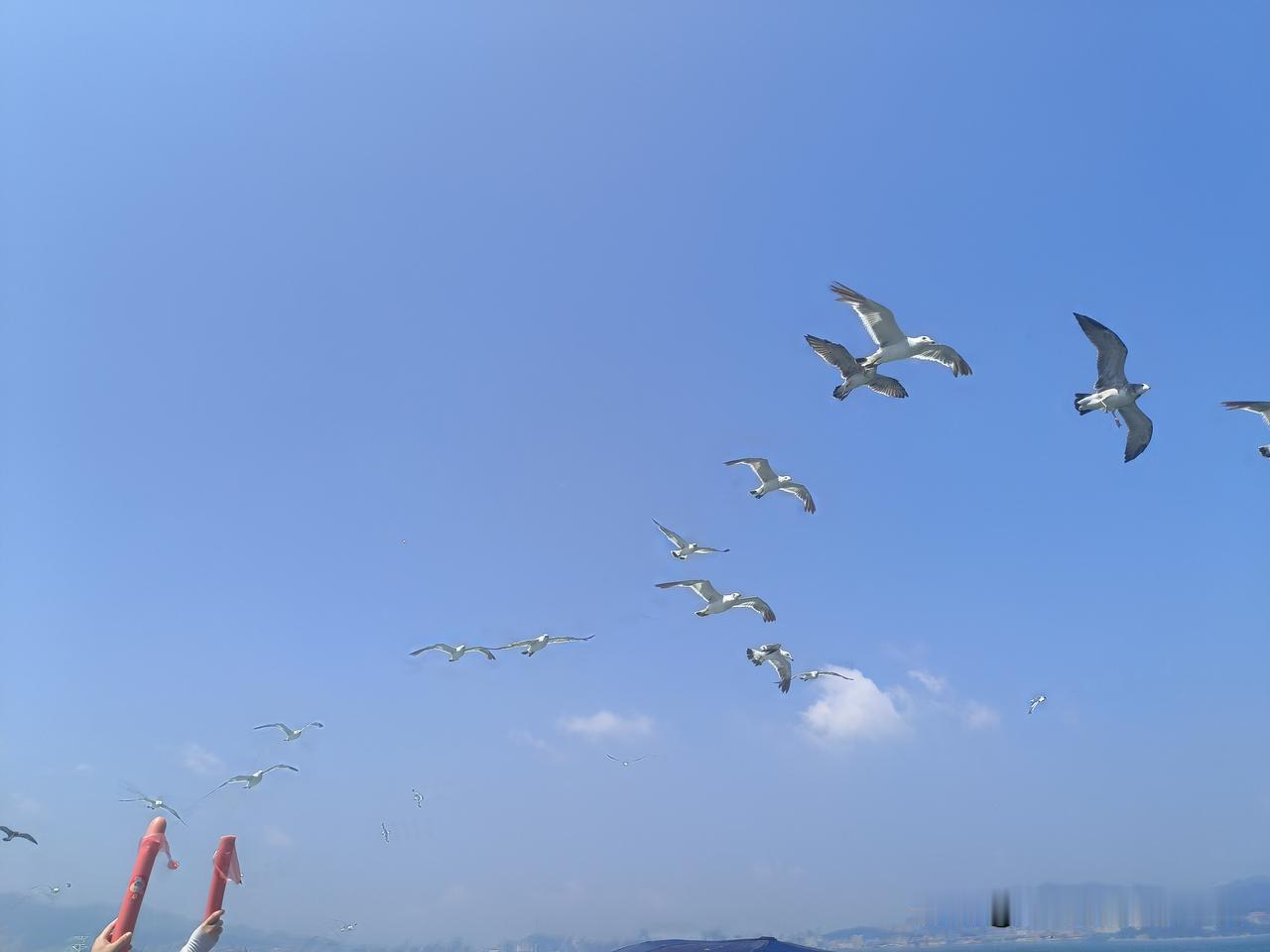 这趟山东之行。

有两个人，让我特别失望。

一个是我的师兄。

十年前，他一家