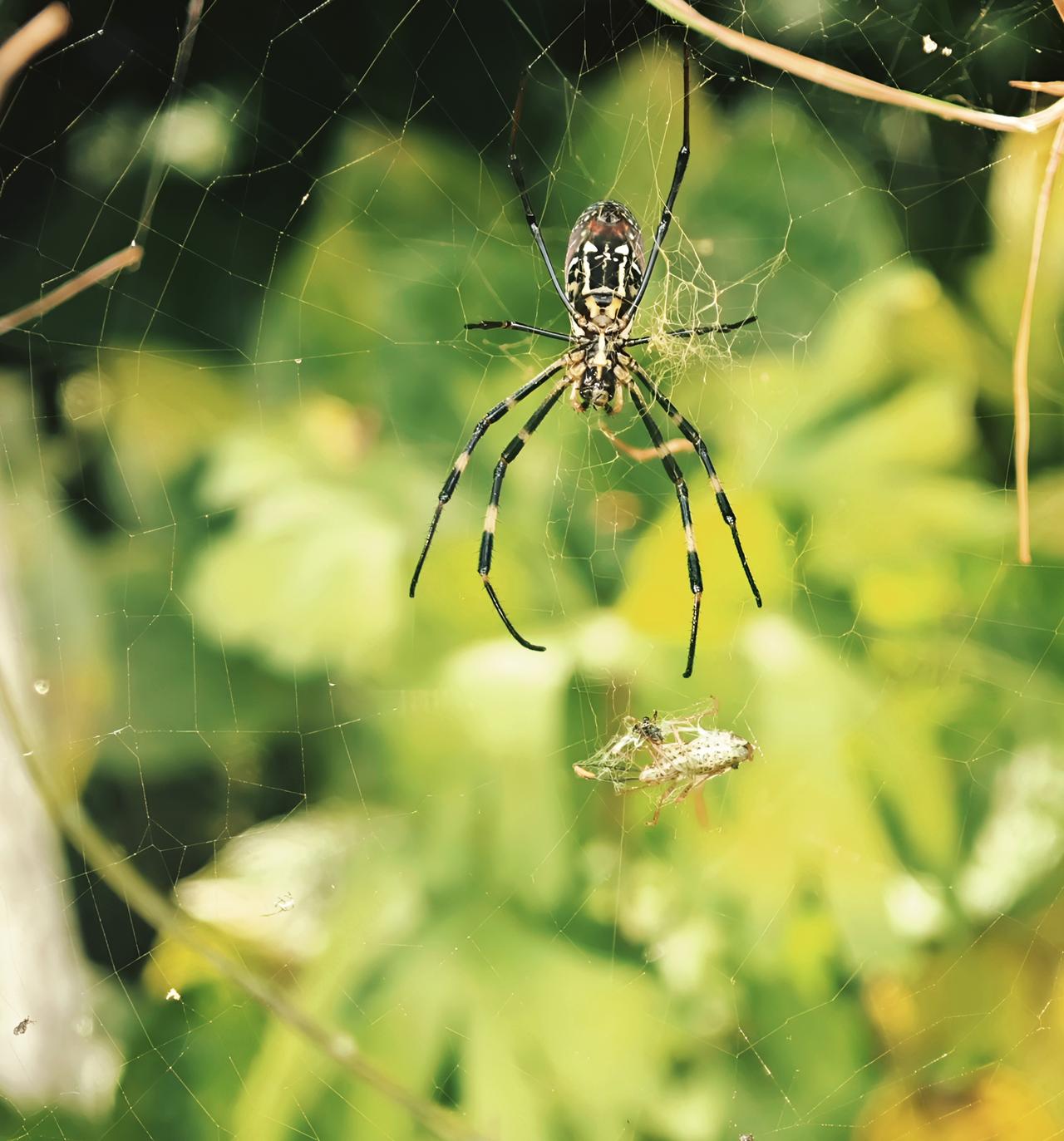 错峰出游，激情之后的猫猫箐。