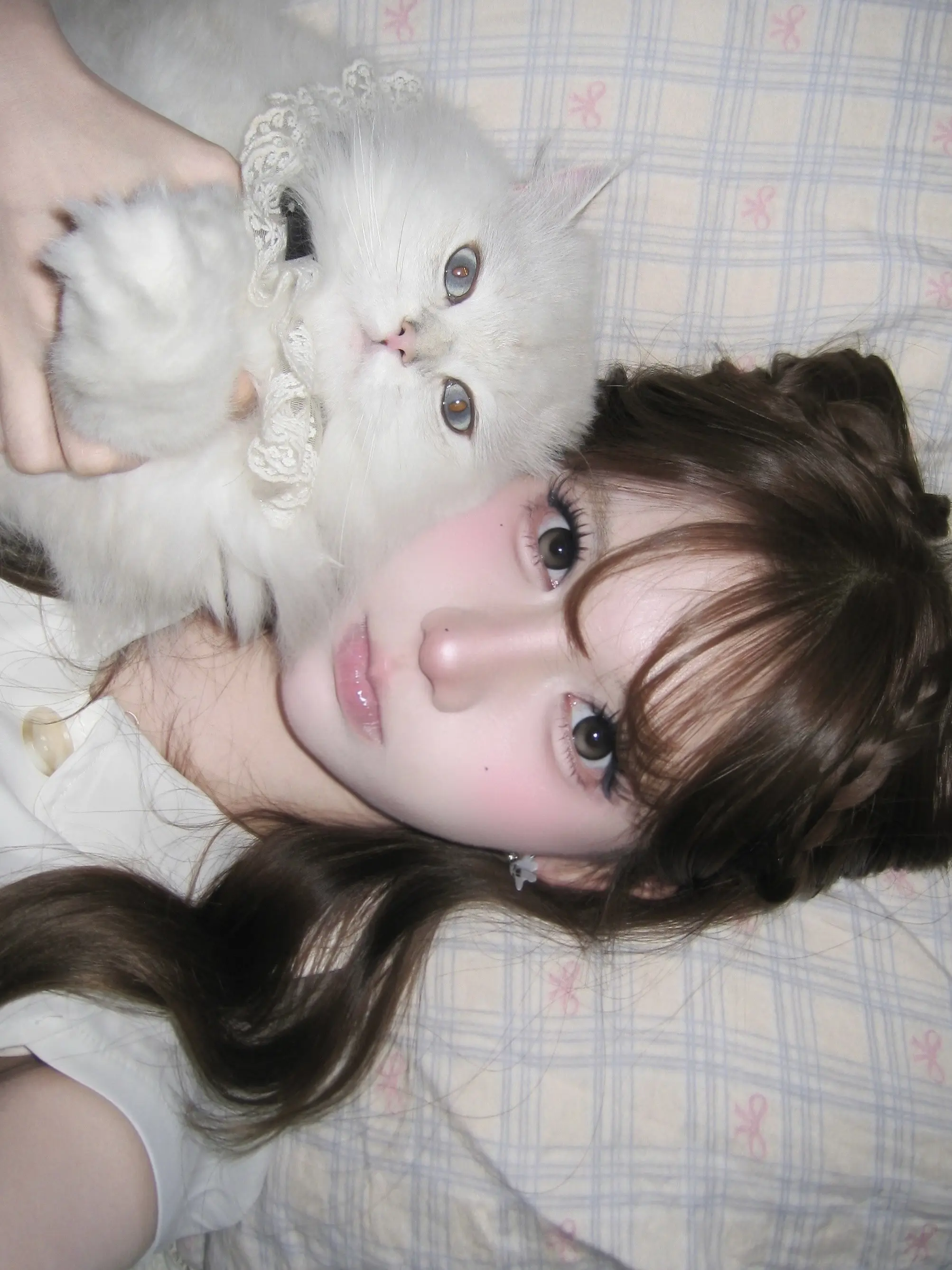 猫系甜妹妆🐾૮₍ ˃ ⤙ ˂ ₎ა。♡ 大面积烟柔粉腮红，淡淡的也很...
