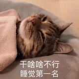 瑞泽爱玩科技