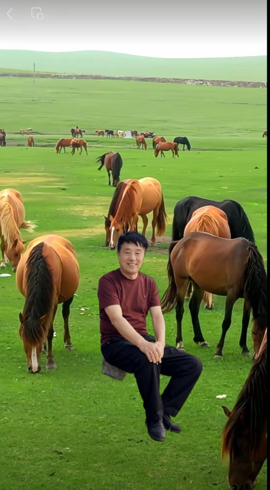 美丽的草原，风景如画。情感歌曲分享大家一一一