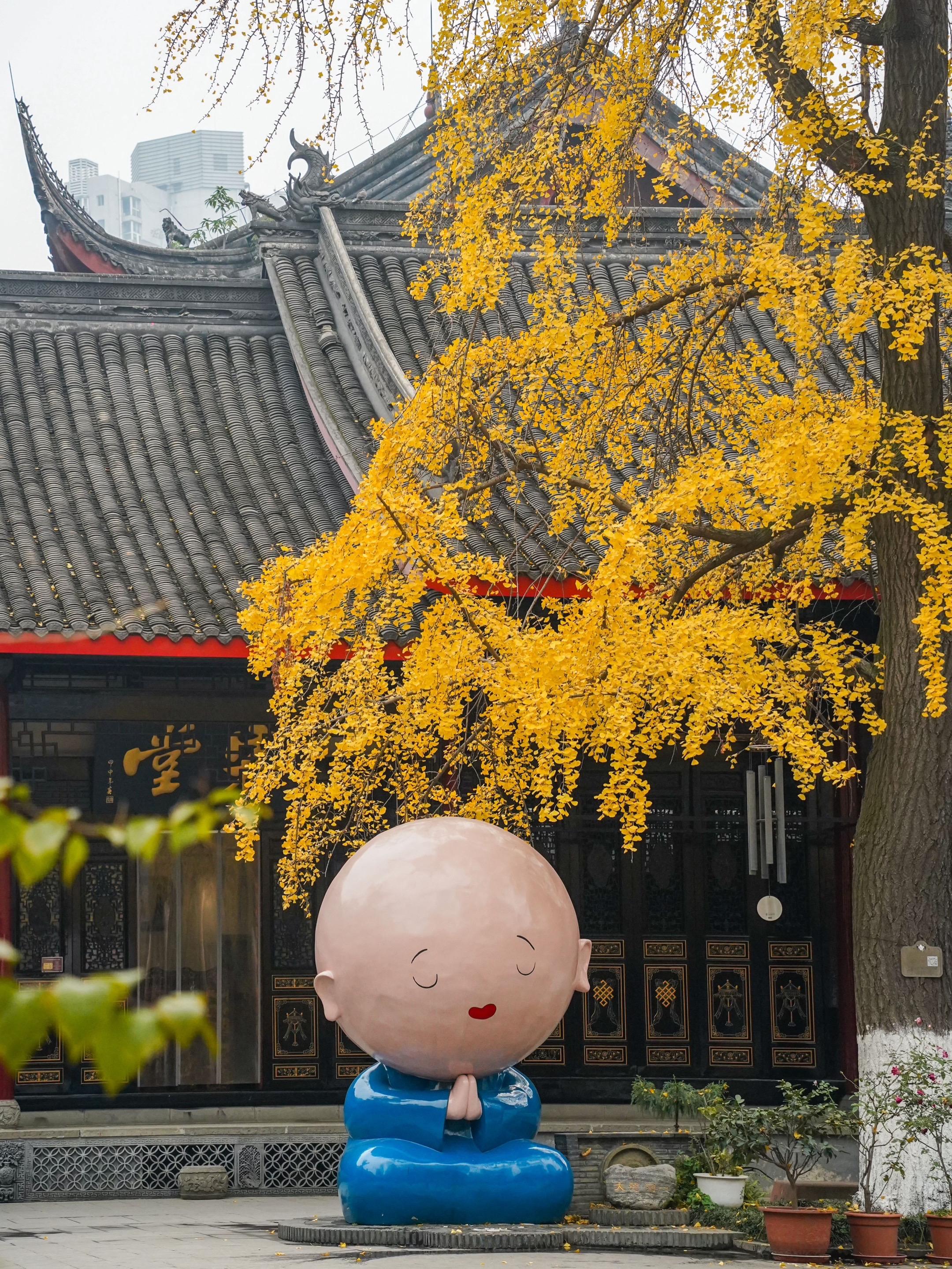 答应我来成都赏秋🍂一定要来这里啊❗️。秋天的寺庙真的才是我的精神疗愈...