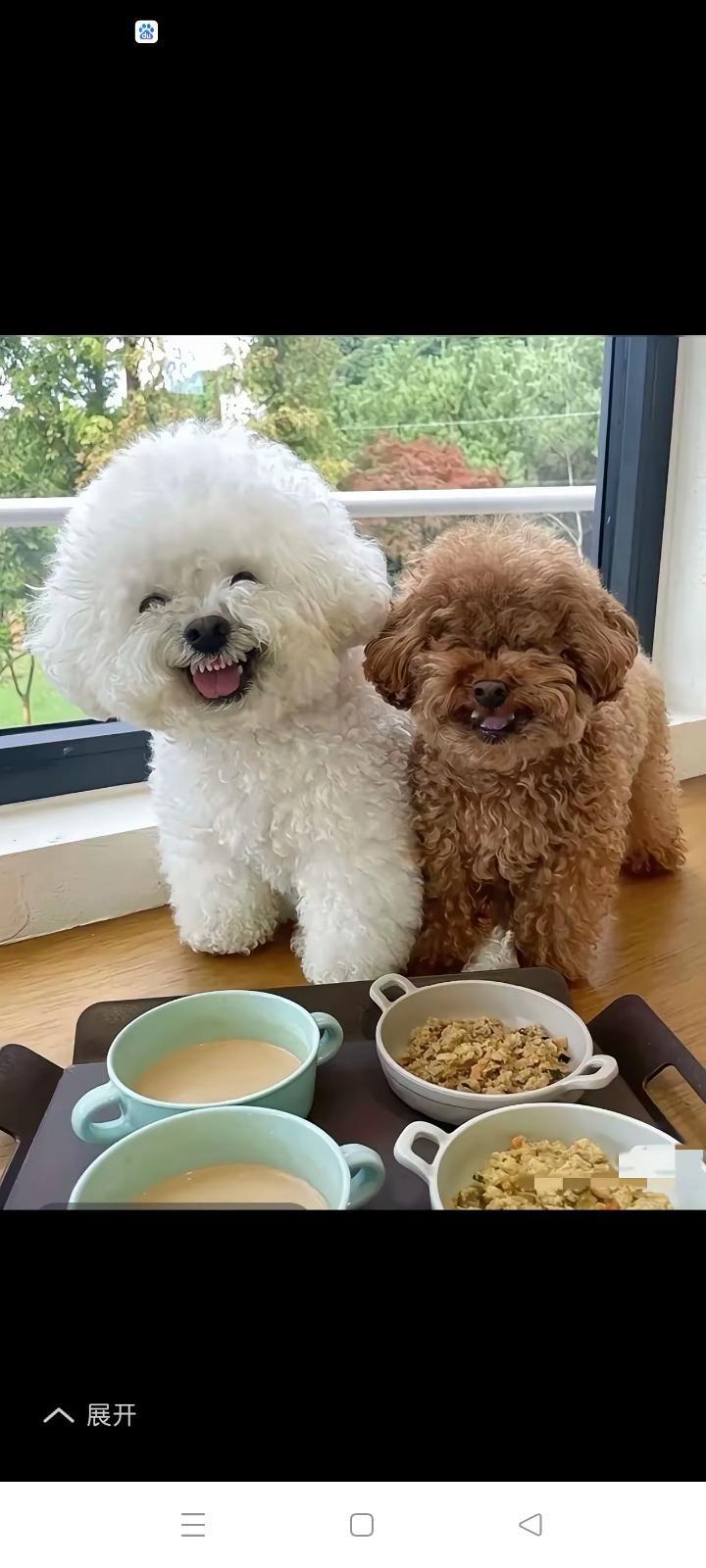 小区业委会全面禁犬这事，争议可太大了。就像广西南宁黎塘镇幸福嘉园小区，因为狗咬人