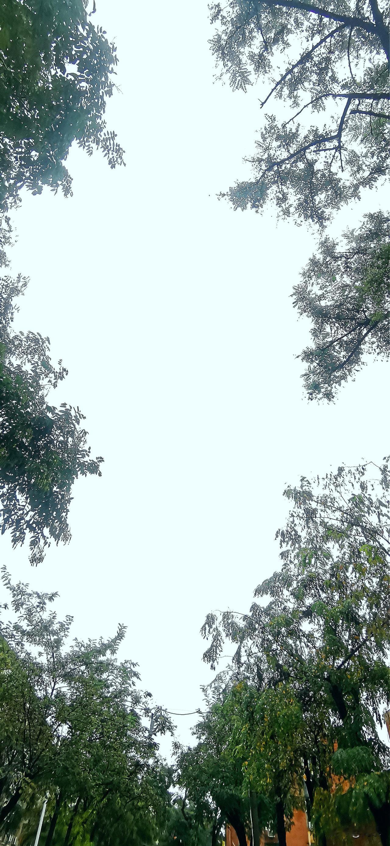 国庆节后北京的首个工作日，阴雨连绵不绝，薄雨扑在脸上，冷冷的，不管是上班的，还是