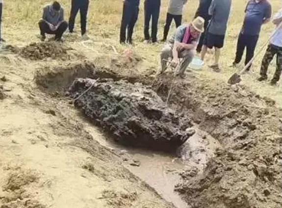河北衡水安平县义里下了一场大雨，谁知次日清晨，下地干活的村民一抬头，发现自家的玉