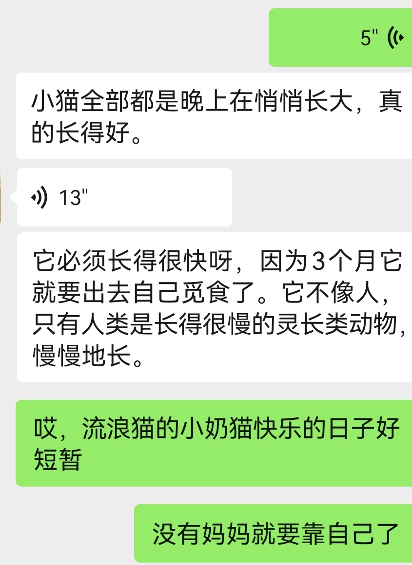 🐱 第21天今天的三小只，很干净，很健康，突然感觉又长了好大一圈和昨天晚上又不