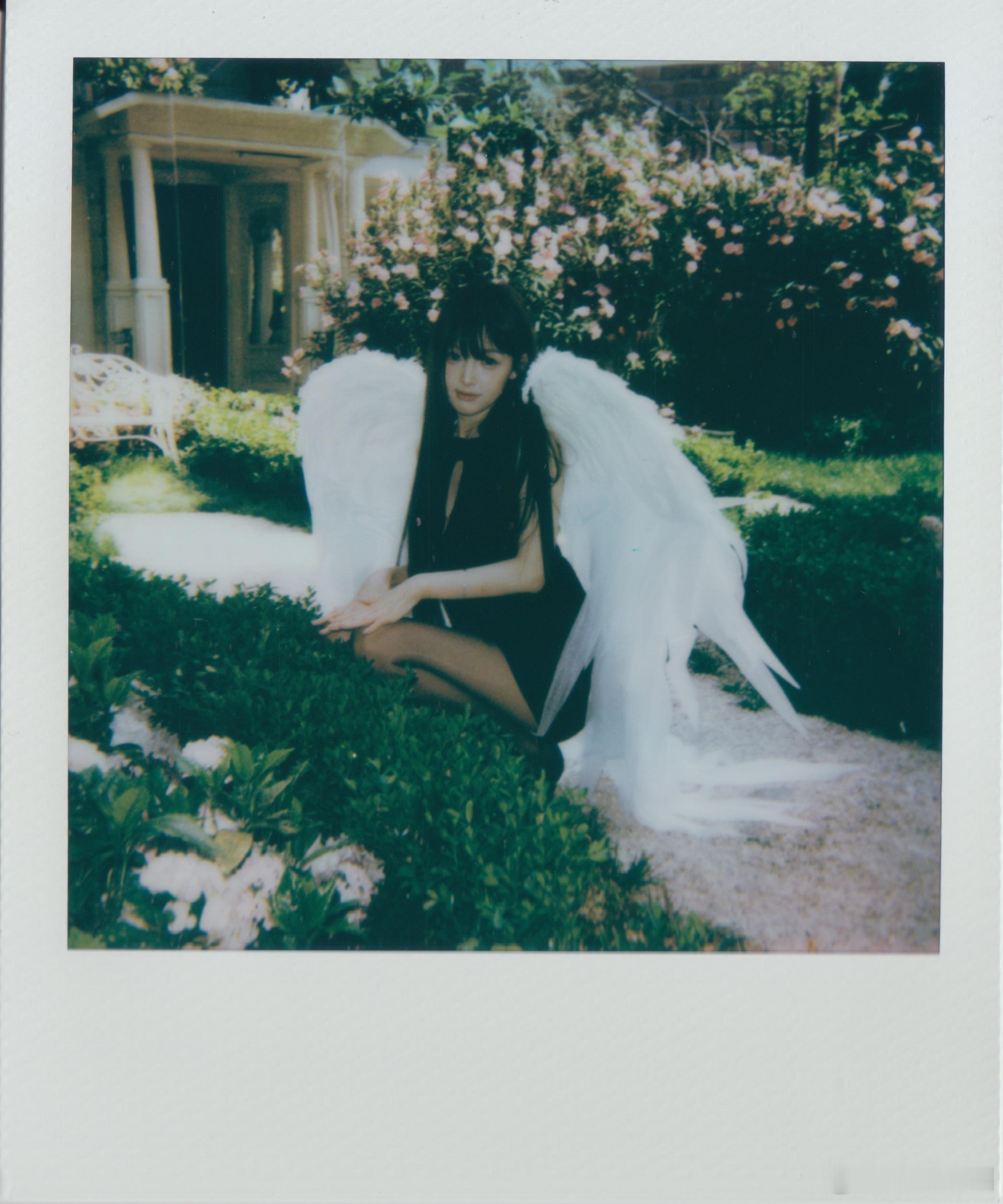 我原来以为我是这颗心脏的主人 没想到你才是 