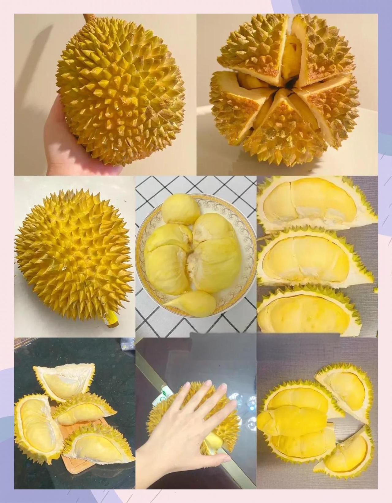 泰国榴莲惊现致癌染料，中国怒退两亿元货值！背后黑幕引爆全球农贸危机

赚中国人钱