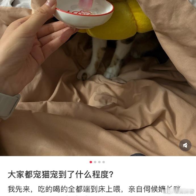 小说女主也不过如此 左右脑互搏了，一会无孩爱猫女 ，一会小猫物化女性  哎 不知