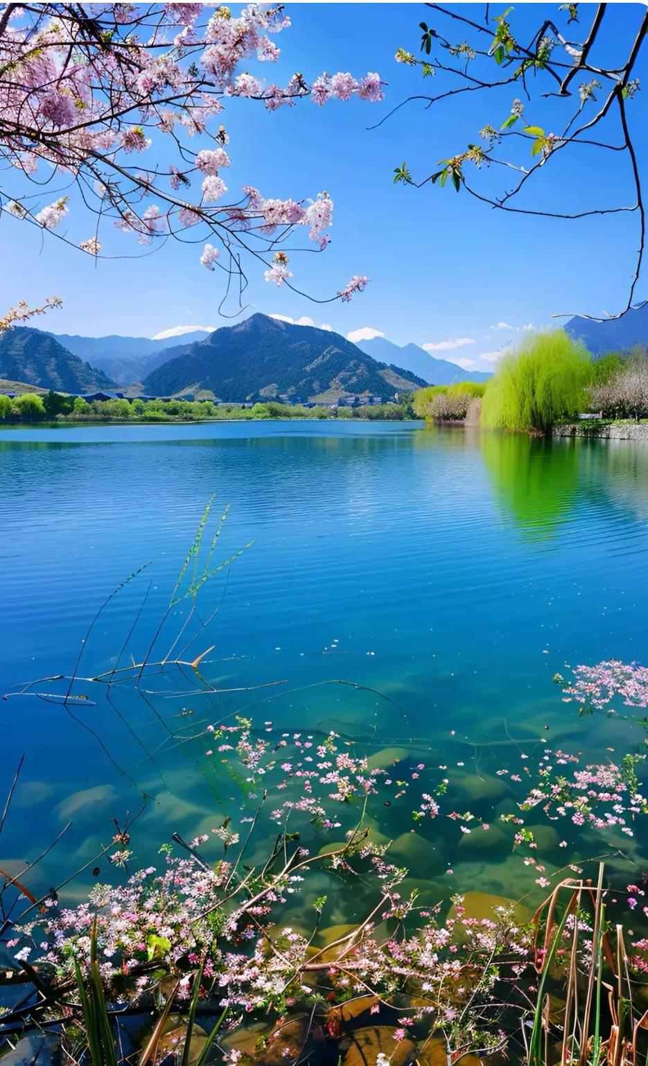 流年风铃语

檐角风铃语，轻吟旧日词
一帘微雨至，漫染梦中痴
相思遥可寄，风月总