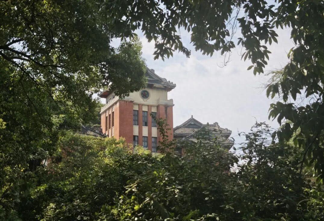 央视正在热播的年代法治大剧《重器》，一开播就凭借扎实的故事和满满的时代氛围感收获