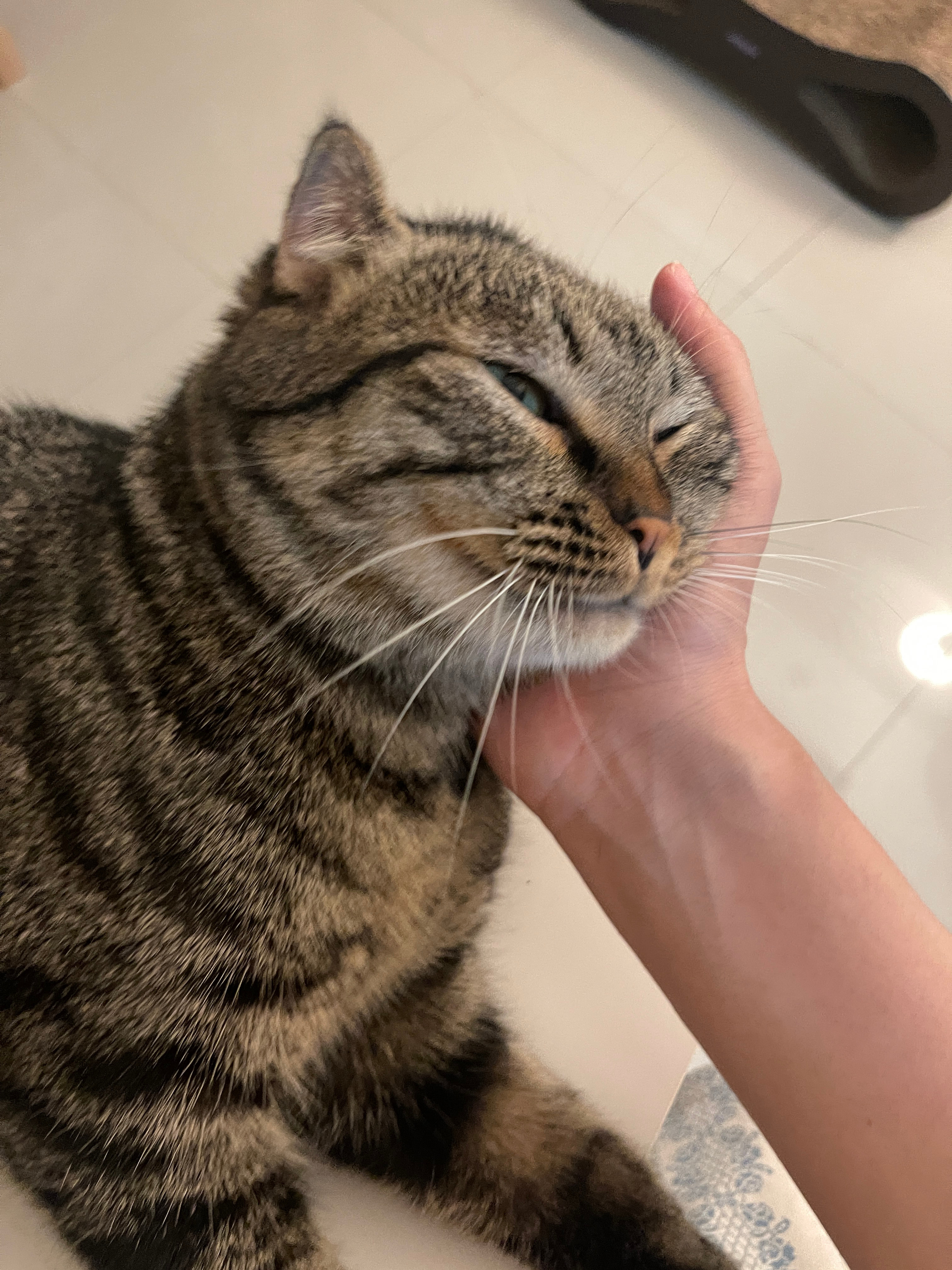 就这么心安理得地让妈妈托着头睡觉 